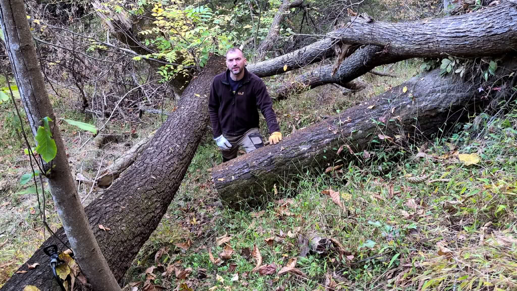 Florian Luhn - Luhnberjack Owner